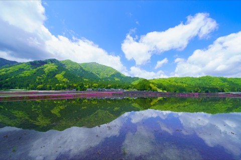 福井水鏡：倒映天地的靜謐之境（福井縣）