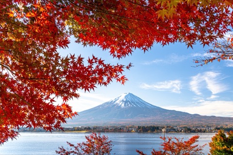 河口湖畔的秋色 富士山映在楓紅裡（山梨縣）