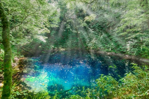 青森深浦青池 光影交織的靛藍秘境（青森縣）