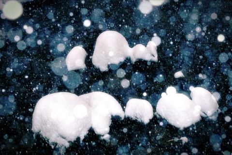 兵庫冬日幻景 白雪妝點岩石的詩意時刻（雪景）