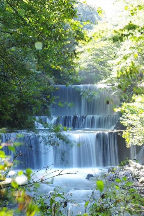 神奈川縣ヤビツ峠的山巒風景（神奈川縣）