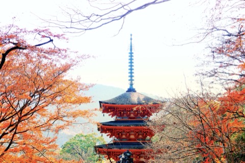 長谷寺