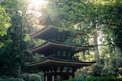 奈良室生寺五重塔 日本最小的戶外塔影（奈良縣）