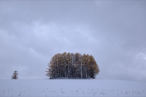 北海道美瑛 冬初時分的寧靜（Charlie_or_Y-N 攝）