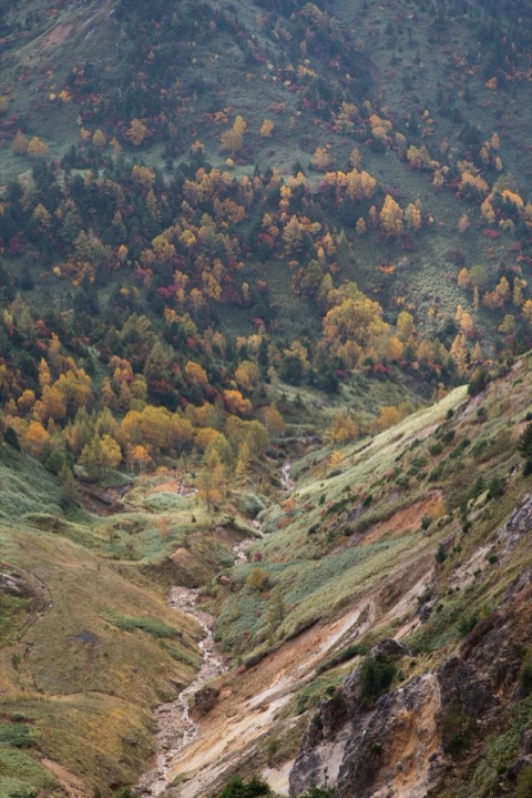 志賀高原橫手山停靠站的高原風景（長野縣）