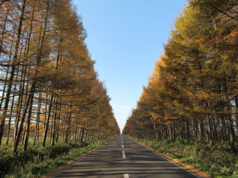 北海道 中標津