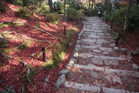 京都晚秋的常寂光寺　出口前的一條路（京都府）
