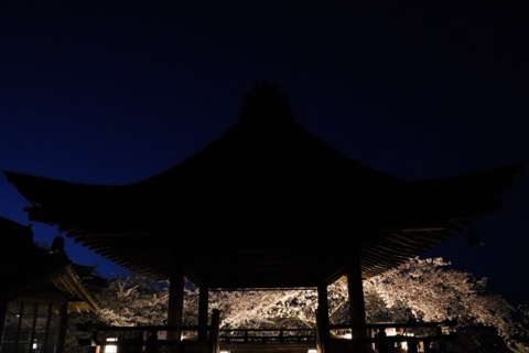 滋賀縣三井寺的靜謐風景（滋賀縣）