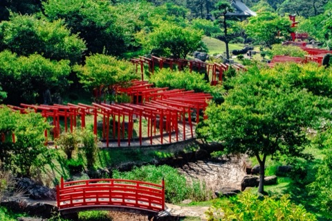 朱色鳥居與林間綠意——青森高山稲荷的千本門（青森縣）