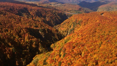 八甲田山