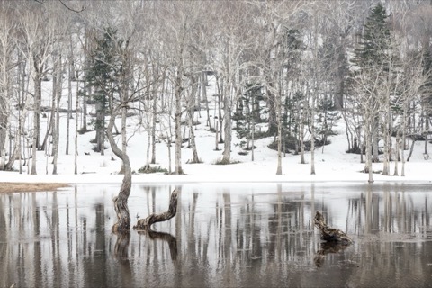雪水消融時,北海道幻之沼才現身（北海道）