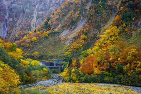 稱名溪谷的靜謐山水（富山縣）