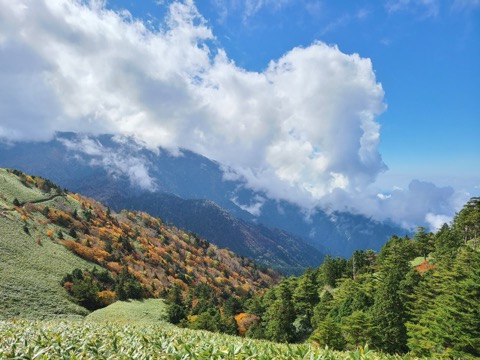 岐阜縣富士見台高原的靜謐風景（岐阜縣）
