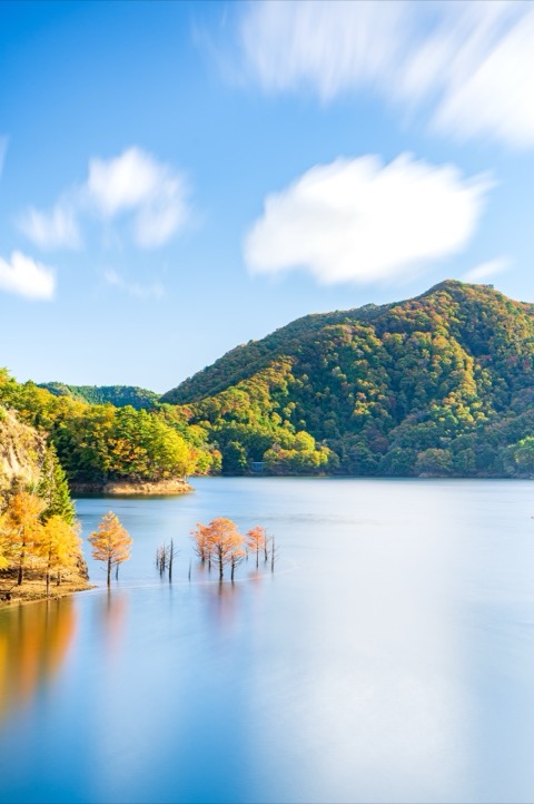 兵庫秋色 水面上的紅葉浮世（TAKAYOSHI_ENDOU 攝）