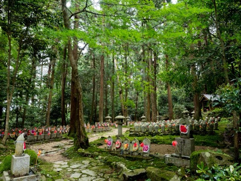 新緑の中の祈り