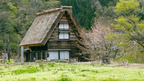春日萌芽裡山：岐阜縣甦醒的山村風景（岐阜縣）