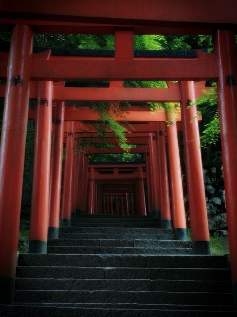 有子山稲荷神社的青葉晨曦——兵庫縣的靜謐之道（近畿的紅葉）