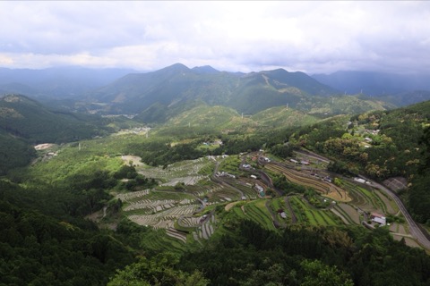 層疊梯田的寧靜詩篇——丸山千枚田（三重縣）