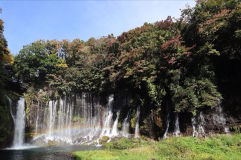 靜岡縣白絲瀑布的靜謐之美（靜岡縣）