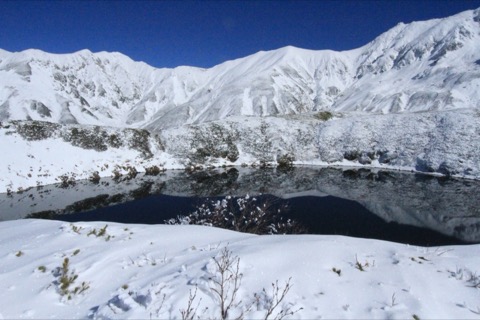 富山室堂平美栗池 立山黑部高山路線的心臟地帶（富山縣）