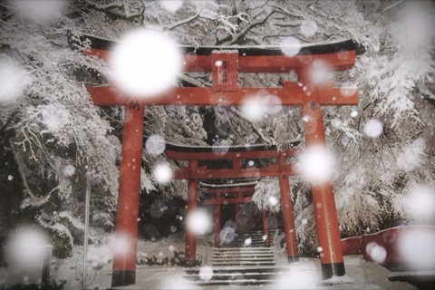 有子山稲荷神社 朱白之間的寧靜（雪景）