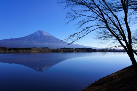 靜岡縣田貫湖的寧靜水景（靜岡縣）