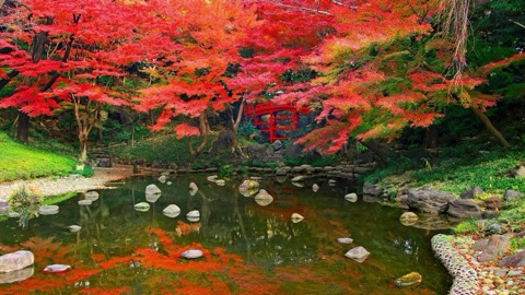 小石川後楽園