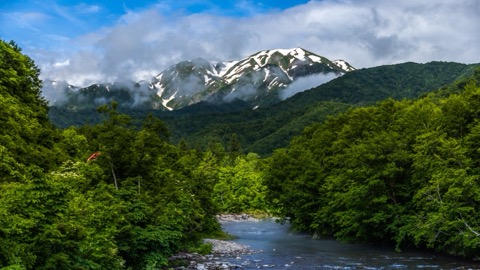 新潟 銀山平 新綠與殘雪同框的越後駒岳（新潟縣）