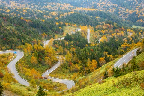 群馬紅葉迴旋路——俯瞰秋色的國道風景（群馬縣）