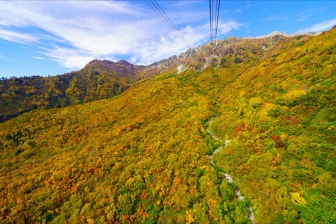 富山縣立山タンボ平的靜謐風景（富山縣）