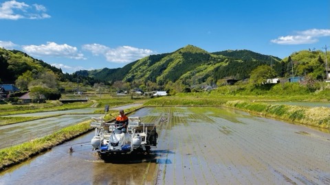 茨城大子產米插秧時節（茨城縣）