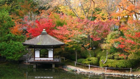 和歌山紅葉溪庭園的靜謐風景