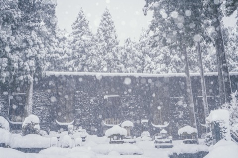 福井縣弗利茨莫爾 雪牆的沉默守護（福井縣）