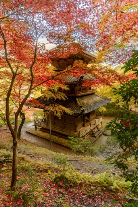 兵庫 高源寺 雨後更紅的多寶塔（TAKAYOSHI_ENDOU 攝）