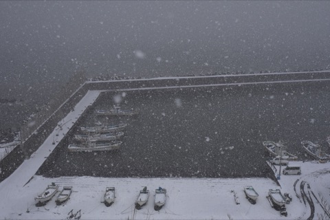 北海道雪中漁港：靜謐的港灣風景（北海道）