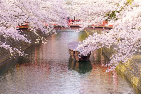 大垣船町川湊的水岸風景（岐阜縣）