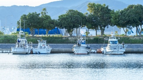 舞鶴五條海岸 夏日港灣的寧靜風景（海岸）