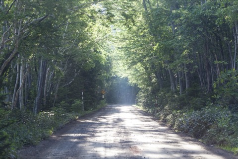 卡繆瓦卡之路：北海道的山林小徑（北海道）
