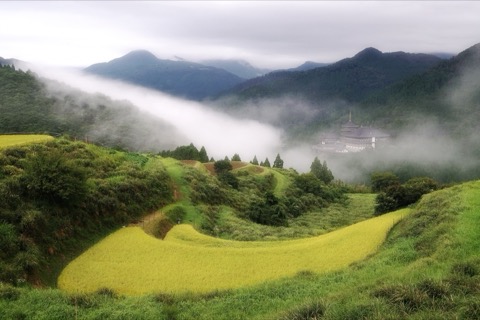 兵庫 西ヶ岡棚田 與五重塔相望的梯田（棚田）
