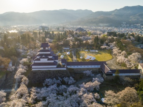 福島 會津若松鶴城 赤瓦天守與千本櫻（福島縣）