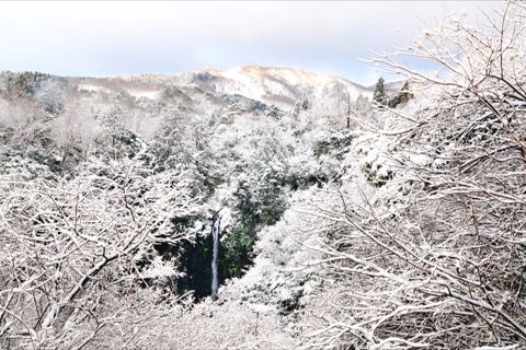 兵庫雪中的八反瀑布——遠景的靜謐（雪景）