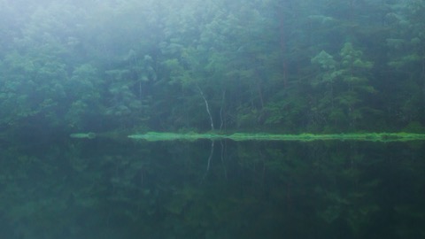霧靄籠罩的初晨 長野御射鹿池的梅雨詩篇（長野縣）
