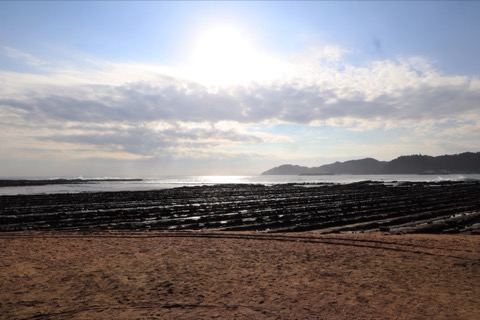 鬼之洗濯板：宮崎縣的海岸奇景（宮崎縣）