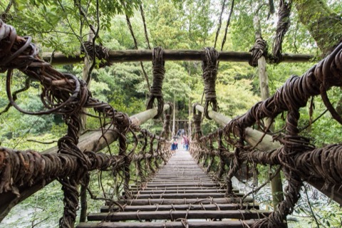 祖谷のかずら橋
