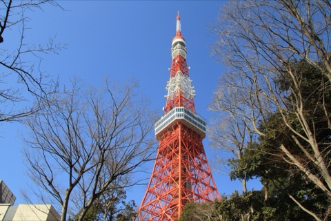 近距離邂逅　芝公園內的東京塔風景（東京都）