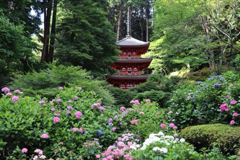 京都府岩船寺的靜謐時光（Nakai_Chan 攝）