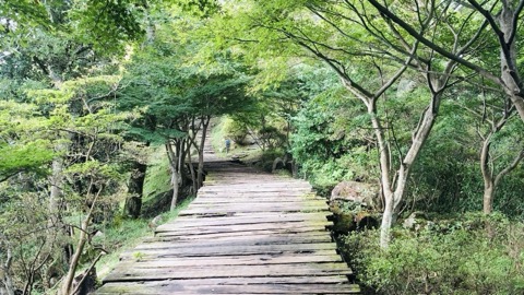 木漏日影．伊豆國的空中漫步（靜岡縣）