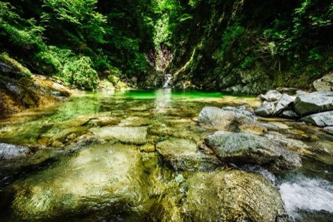 尾白川的清水 山梨靜謐的溪谷時光（山梨縣）