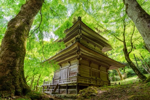 兵庫丹波高源寺 生命綠意環繞的古塔（兵庫縣）