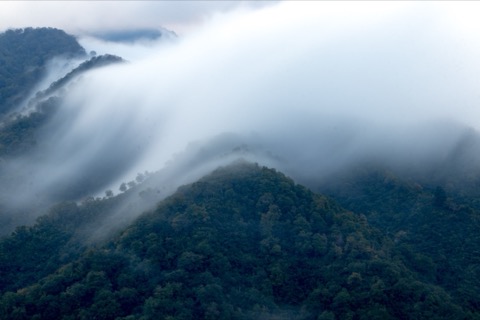 奧只見湖上的雲瀑——新潟枝折峠的晨霧奇景（新潟縣）